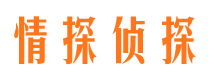 美溪侦探公司